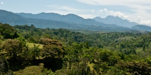 Countryside near Rio Negro